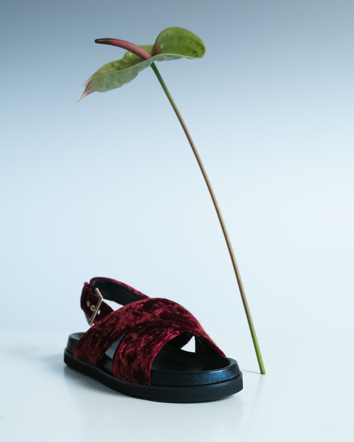 Bloom Crossed Sandals Ruby Red - Lachoix