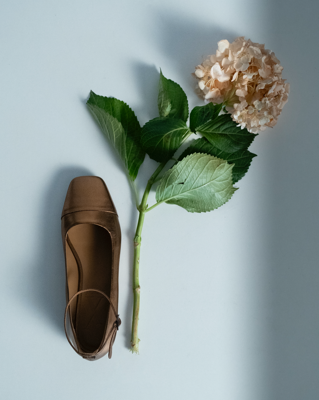 Bronze Ballerina - Lachoix