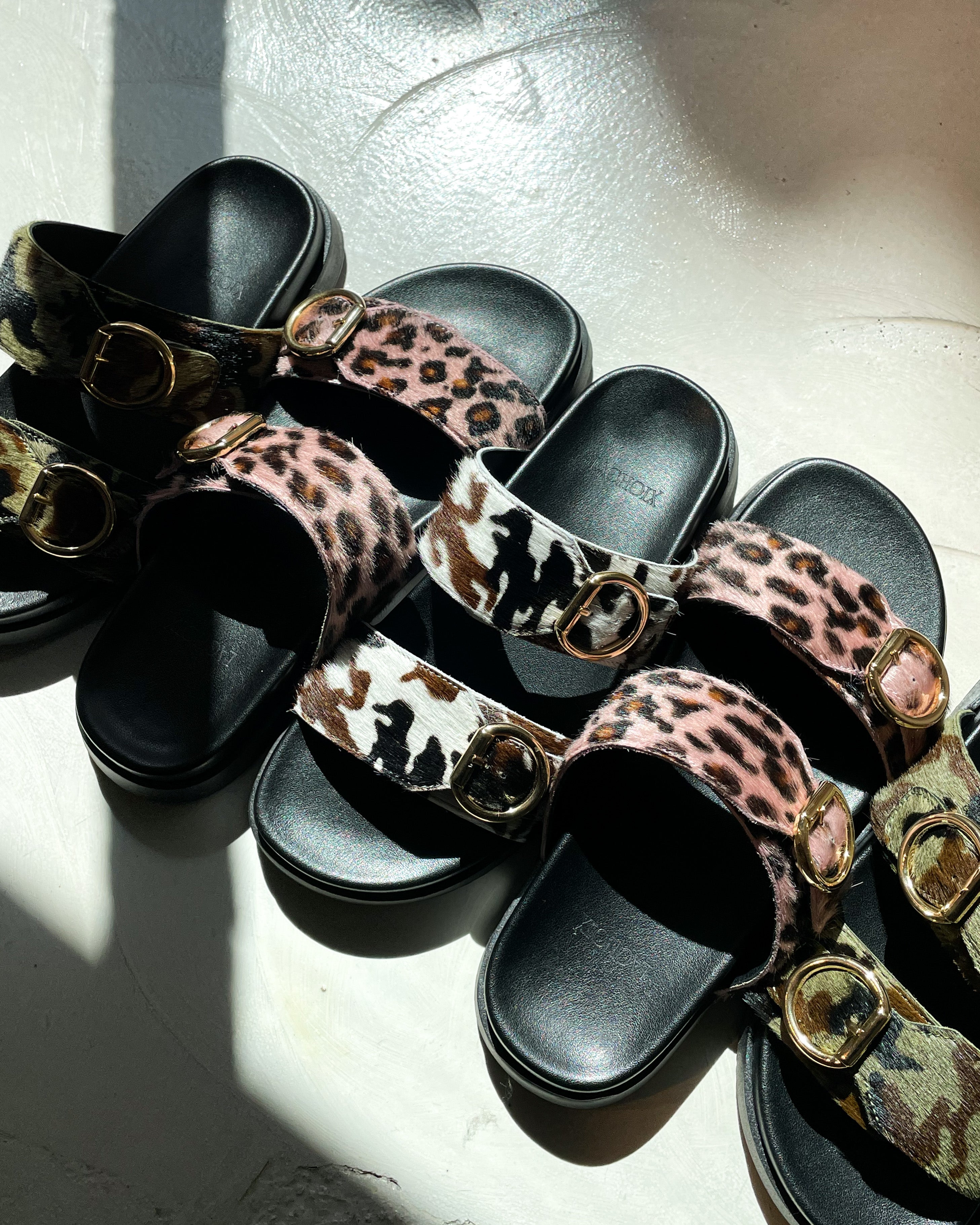 Summer Edition - Lachoix